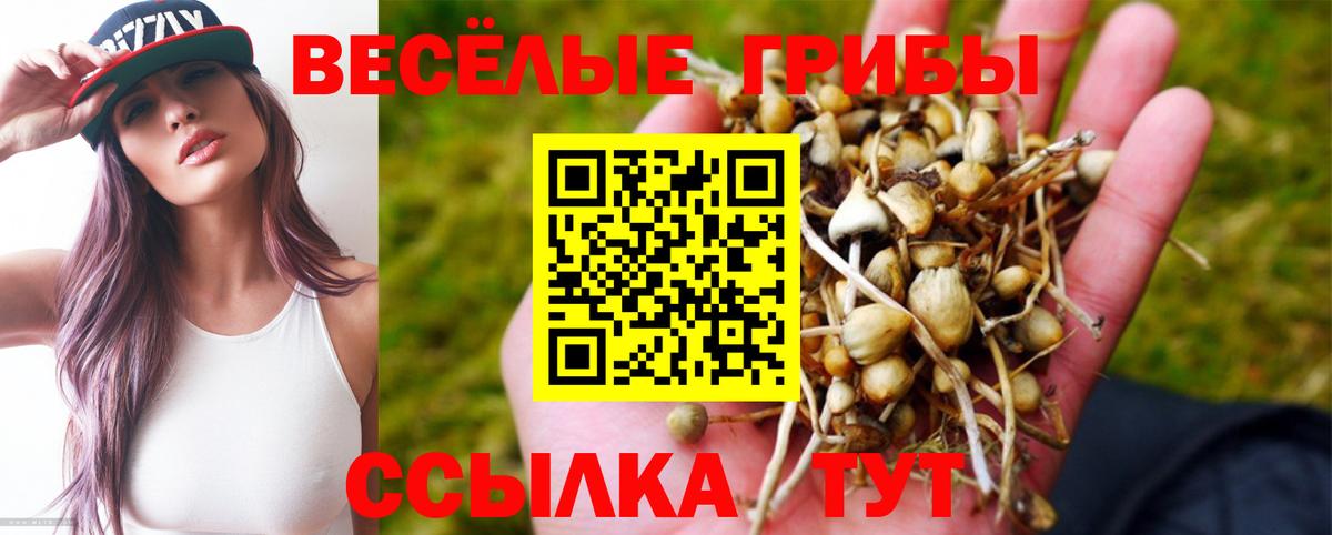 Галлюциногенные грибы мухоморы  Псилоцибиновые грибы ЛСД  Костомукша  Вход с VPN 