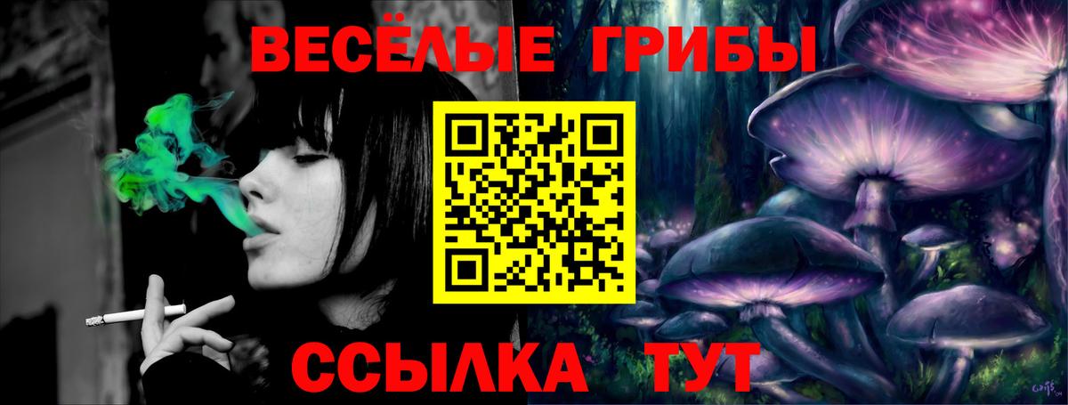 Псилоцибиновые грибы ЛСД Костомукша